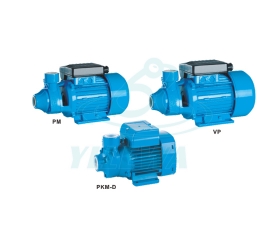 PM/VP/PKM-D Peripheral pump series